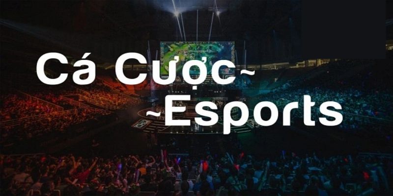 Cá Cược Esport - Nơi Hòa Mình Vào Đam Mê Của Cược Thủ Go88